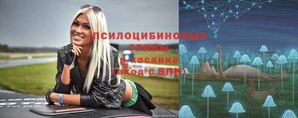 стафф Анжеро-Судженск