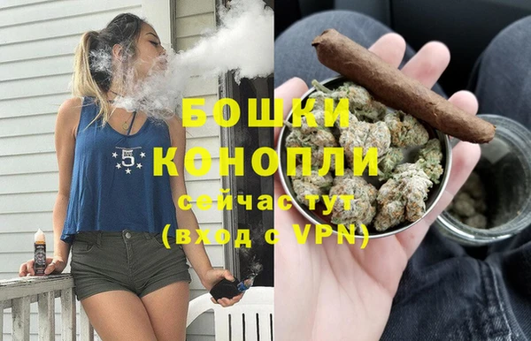 PSILOCYBIN Пересвет