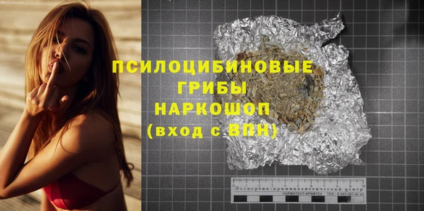 PSILOCYBIN Пересвет