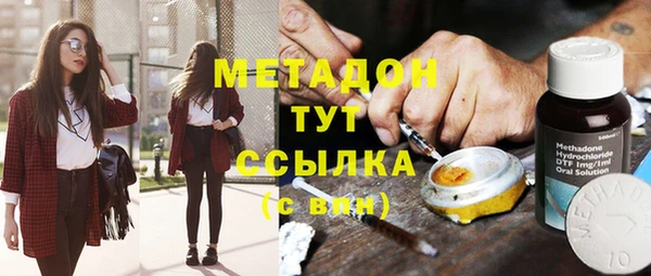 PSILOCYBIN Пересвет