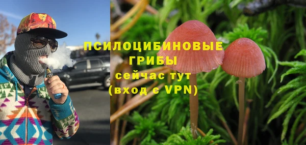 соль ск Пестово