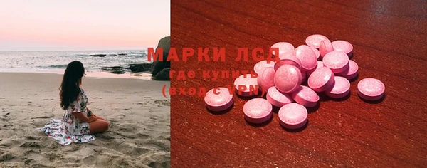 PSILOCYBIN Пересвет