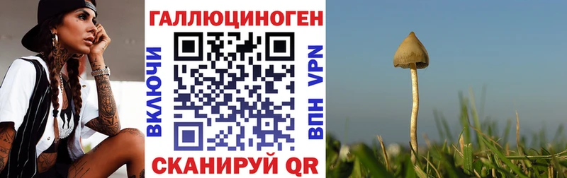 Псилоцибиновые грибы мухоморы  Балахна 