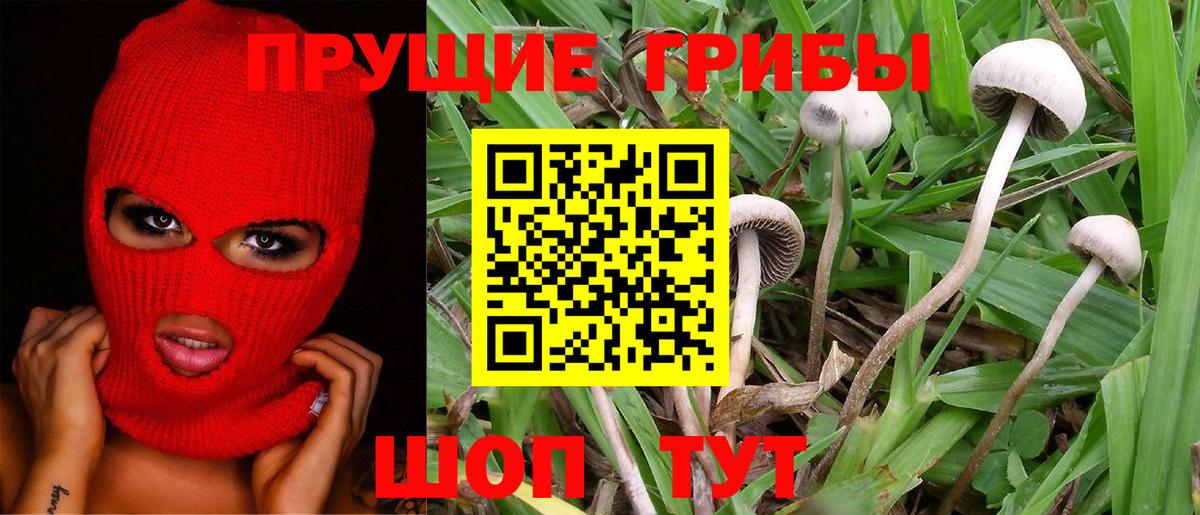 Псилоцибиновые грибы прущие грибы  Вход с VPN  Балахна 